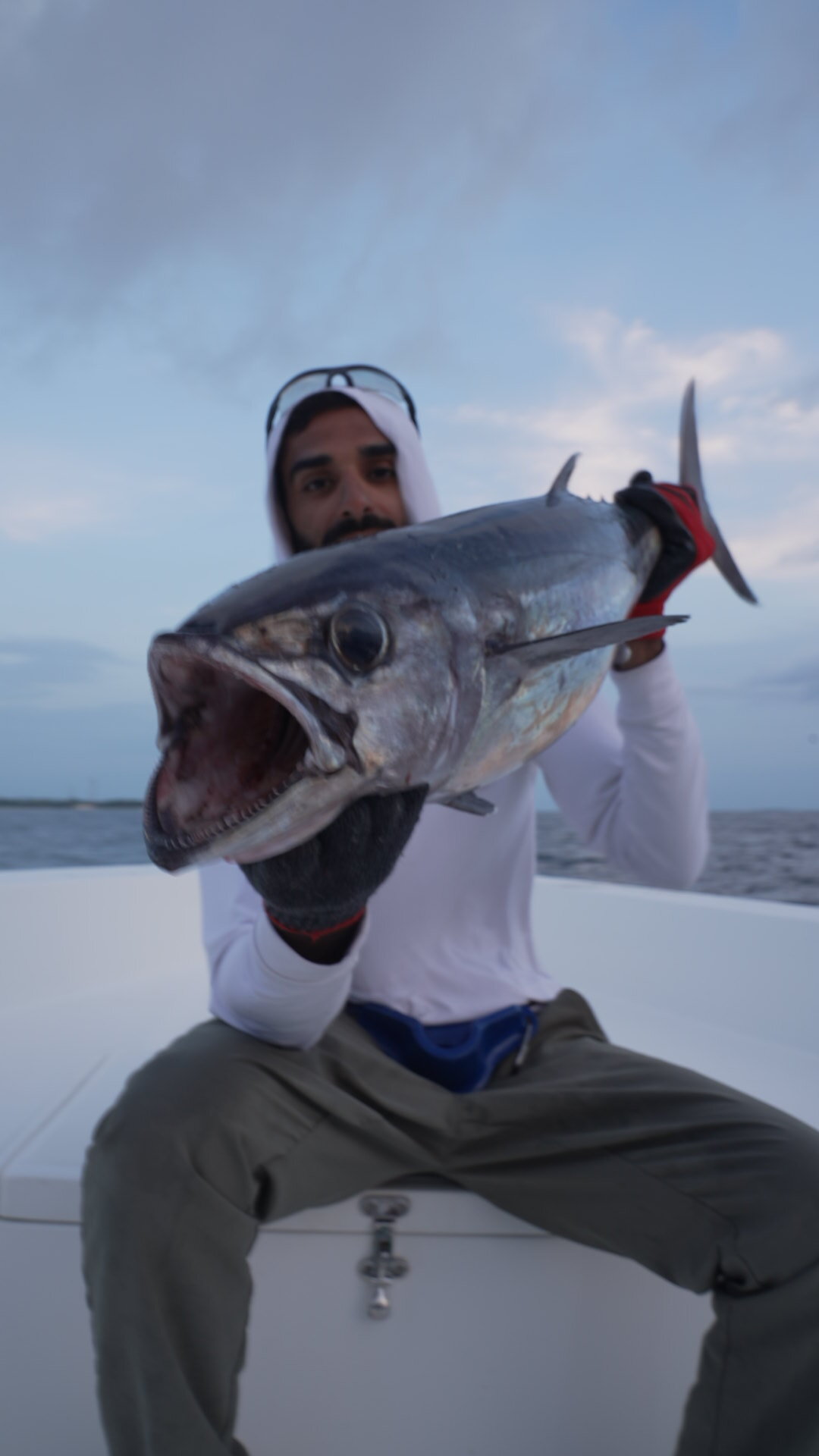 Dogtooth tuna caught on charter from Lily Beach Resort