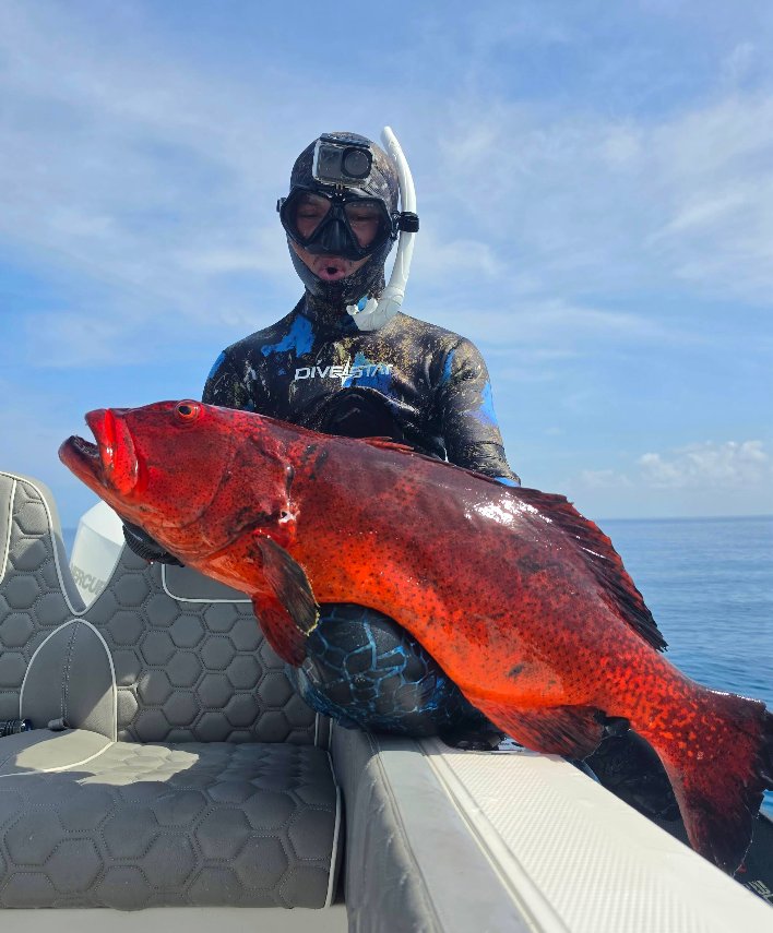 Spearfisher holding a large coral trout caught in the Maldives